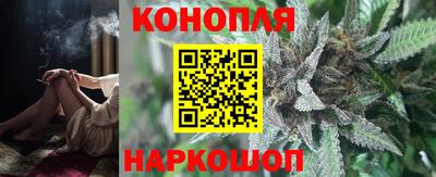 шишки Заволжье