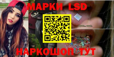 шишки Заволжье
