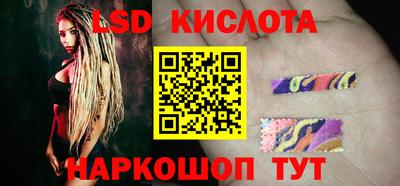 шишки Заволжье