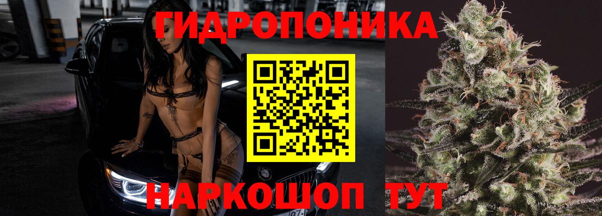 Бошки марихуана конопля  МАРИХУАНА планчик  Звенигород  Вход с VPN  Конопля ГИДРОПОН 